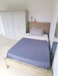 Botanic Gardens View (D10), Apartment #587101471